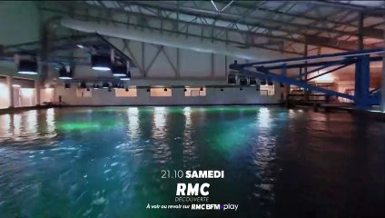 Nausicaa, le plus grand aquarium d’Europe - 12 août