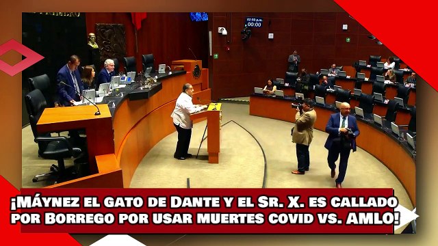 ¡VEAN! ¡Máynez el gato de Dante y el Sr. X. es callado por Borrego por usar muertes covid vs. AMLO!