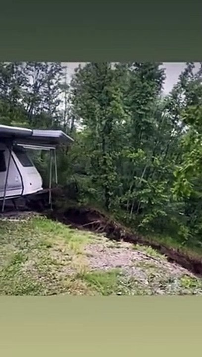 Quand la foret bouge comme ça ce n'est pas bon signe