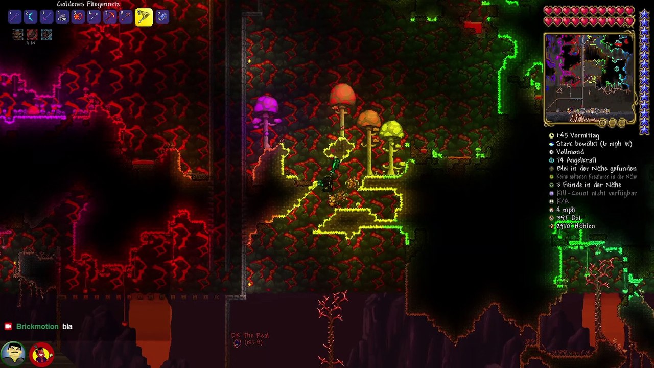 Der horizontale Hoik | Terraria Let's Play 275