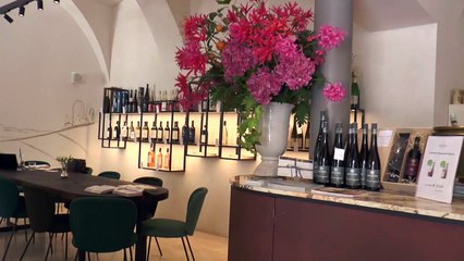 Wien | Besuch der Hofkellerei im Gartenpalais