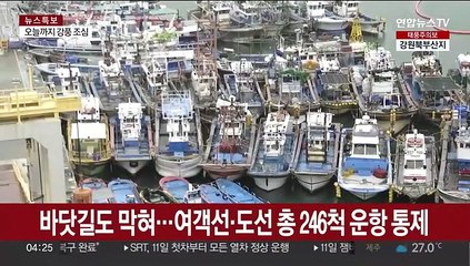 '카눈'에 바닷길·숲길도 막혀…어선 5만 척 피항