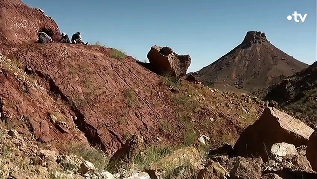 Le spinosaure était encore plus féroce que le T-Rex - ZAPPING SAUVAGE