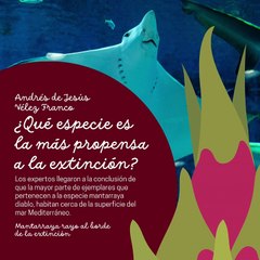 -ANDRÉS DE JESÚS VÉLEZ FRANCO- MANTARRAYA RAYO AL BORDE DE LA EXTINCIÓN (PARTE 1) (@AndresdeJesus90)