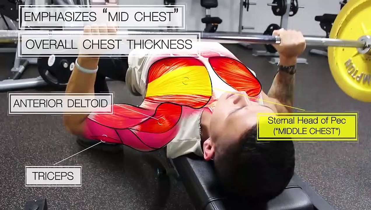 The Best Science-Based Chest Workout for Mass & Symmetry - video ...