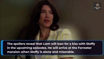 Liam Deserves Whats Coming To Him Even Steffy Is Down For It Bold and the Beauti