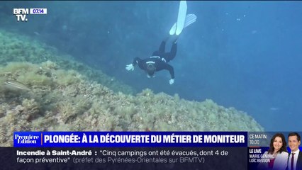 À la découverte du métier de moniteur de plongée près de Cannes