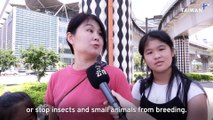 Rat Sighting Spurs Taipei Metro To Explain Food and Drink Ban