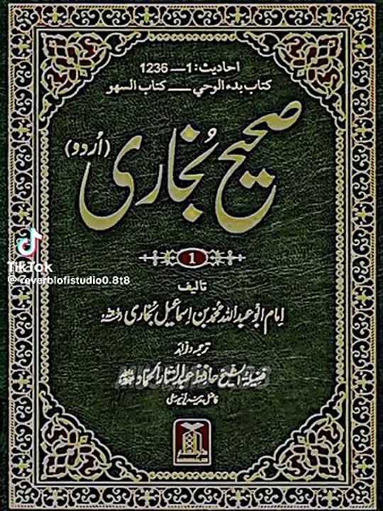 Enjineer Ali mirza sahab ki guftogo❤️