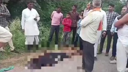 पोहरी: तेज रफ्तार बाइक ने फिर ली एक और जान, स्पीड ब्रेकर से महिला की मौत