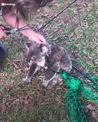 CCTV Misses Absolutely Nothing