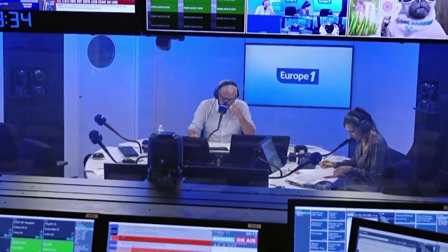 Des arbres qui absorbent plus de CO2 que la normale