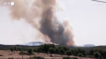 Spagna, nuovo maxi-incendio nell'ovest: bruciati 300 ettari