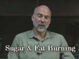 Fat Burning, Diet, Weight Loss & Sugar,  Austin Wellness