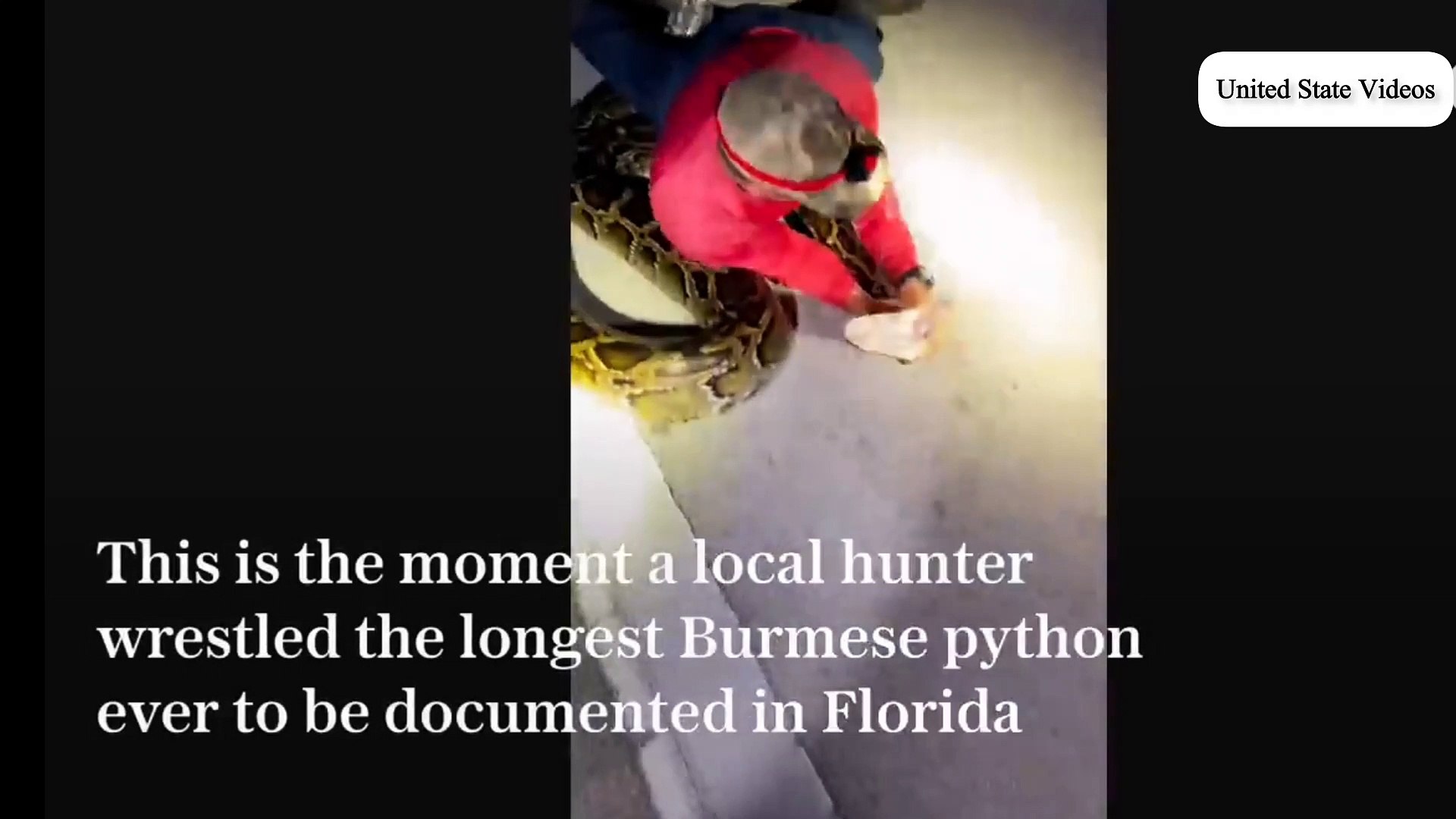 ⁣Python Attack | Python hunters wrestle 19-foot-long record-breaking snake