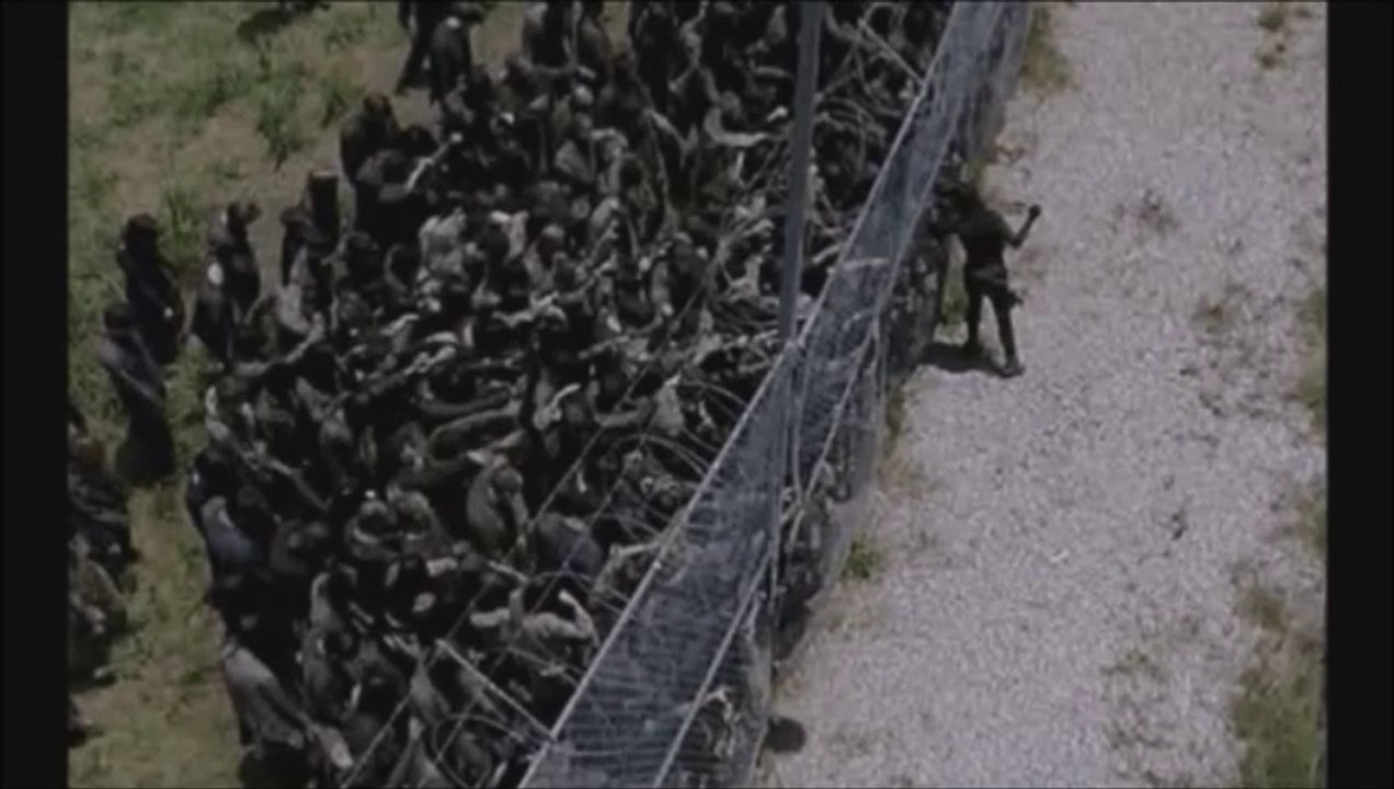 Zombies. SOUND EFFECT. ASMR. Bruitage, Ambiance, Zen, Relaxation, Détente