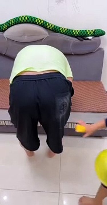 TRY NOT TO LAUGH  - BEST FUNNY VIDEOS