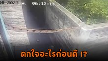 วงจรปิดเผยชีวิตพี่เหลือม เห็นแล้วลมแทบจับ ต้องตกใจอะไรก่อน !!