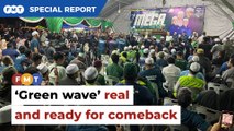 ‘Green wave’ very real and ready for a come back, say analysts