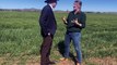 Australia's barley is 'the best in the world': PM Anthony Albanese