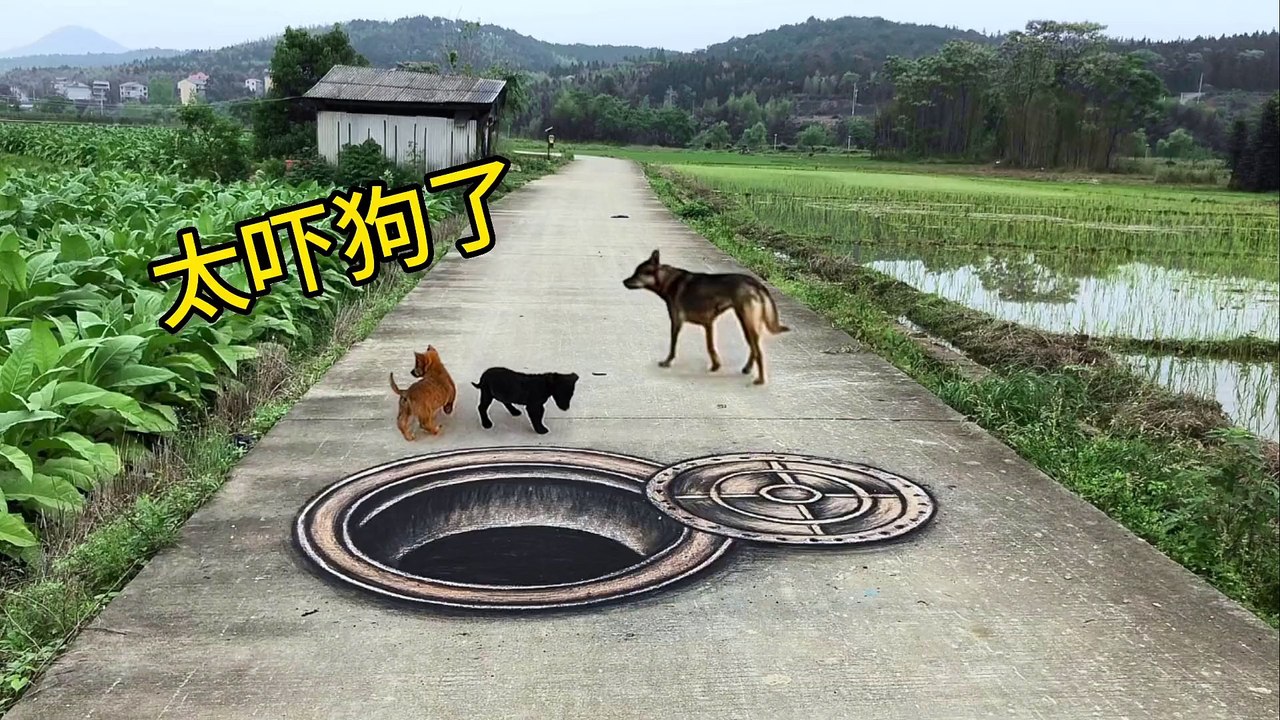 Vẽ nắp cống giữa đường làm mọi người không dám đi qua