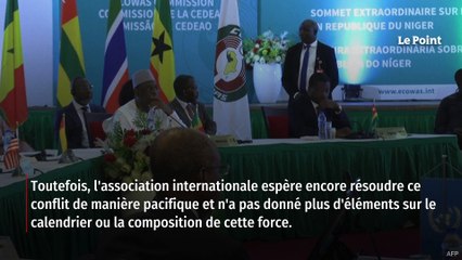 Niger : la Cedeao prête à lancer l'opération militaire « dans les plus brefs délais »