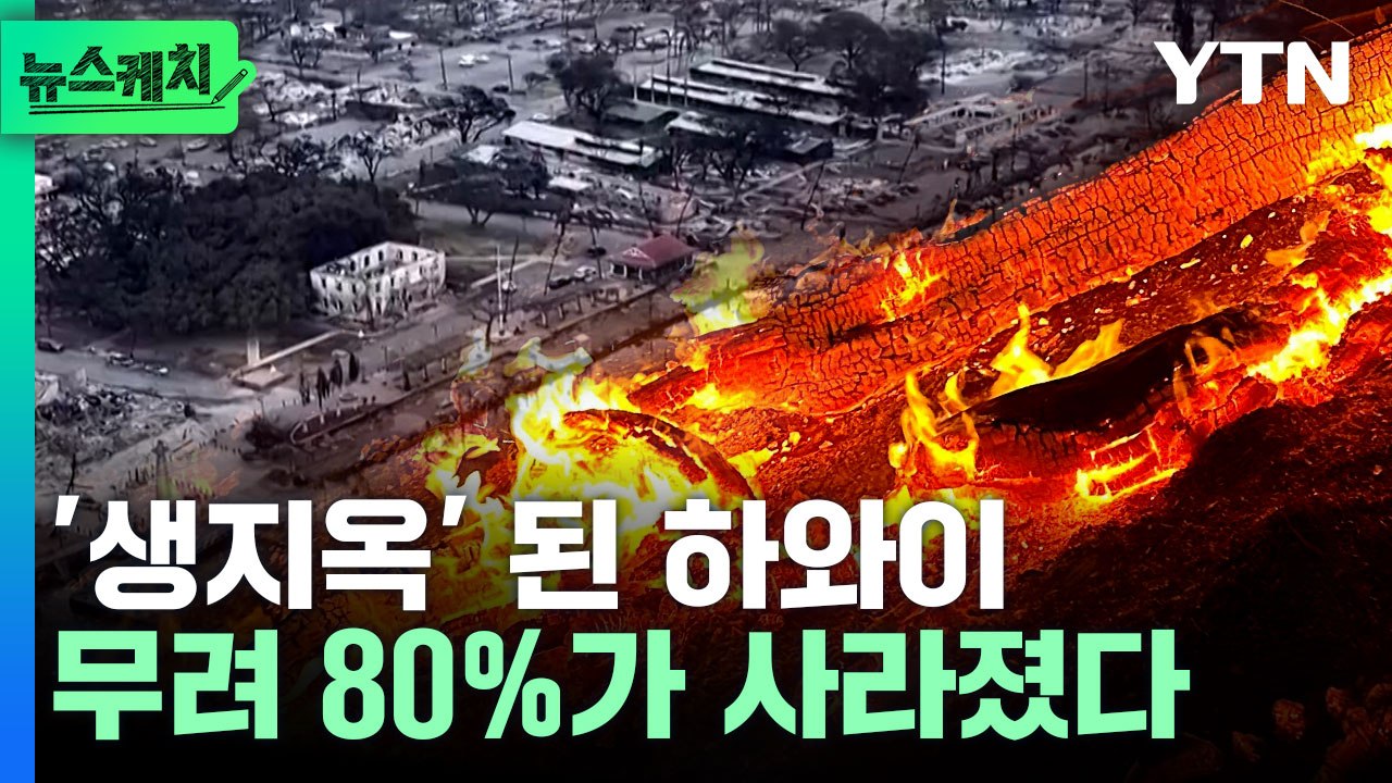 "세상의 종말 같았다" 잿더미로 변해버린 하와이 [뉴스케치] / YTN