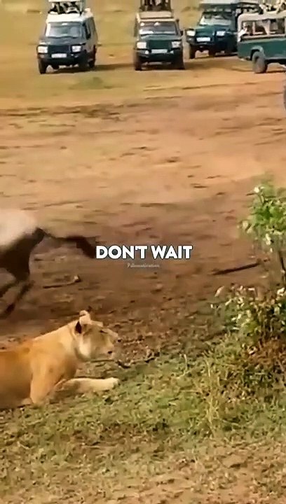 Sigma rule  I WhatsApp status I Motivational quotes #shorts #attitude #sigmarule