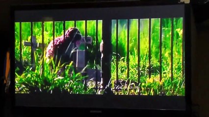 Opening/Closing To Sausage Party 2016 DVD [Mexican Copy] 2/11/23