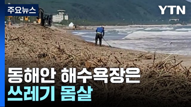 불난리에 이어 물난리...동해안 해수욕장은 쓰레기 몸살 / YTN