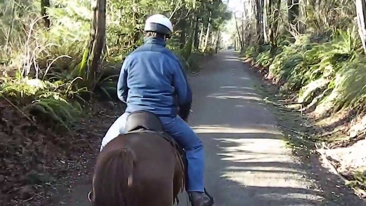 Spooky Horse Gives Trainers a Scare