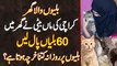 Billiyon Wala Ghar - Karachi Ki Maa Beti Ne Ghar Me 60 Cats Paal Li - Daily Kitna Kharcha Hota Ha?