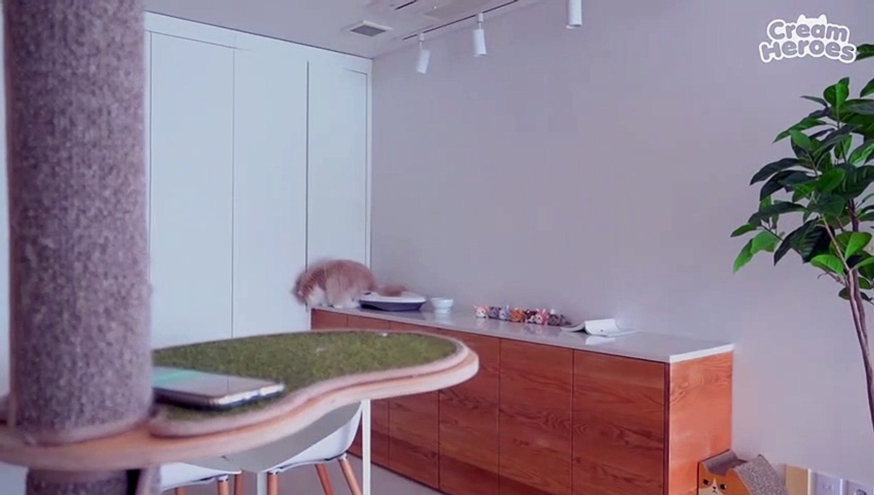 Found Out DD's Crime Scene! (ENG SUB)