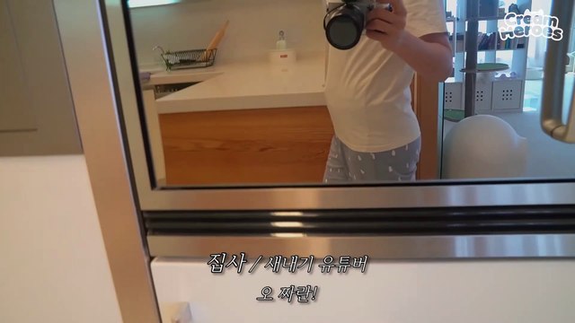 Bought A New Camera For My Adorable Kitties! (ENG SUB)