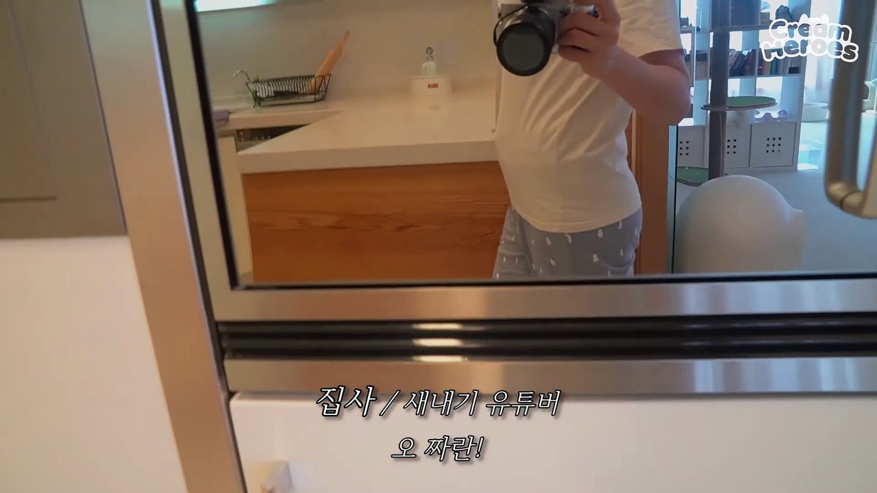 Bought A New Camera For My Adorable Kitties! (ENG SUB)