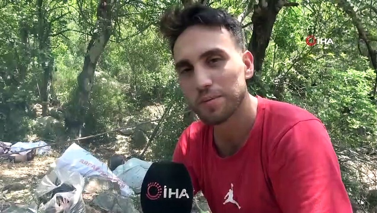 Adana'da keçiboynuzu hasadı başladı! Tarlada kilosu 60 TL