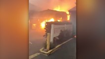 Hawai’deki orman yangınlarında ölü sayısı 55’e yükseldi