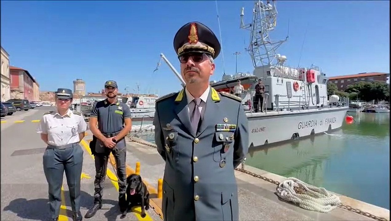 Livorno, 50 chili di cocaina scoperti in porto: "Erano nascosti in un container" / VIDEO