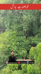 Beautiful View of Rain ☔ ️