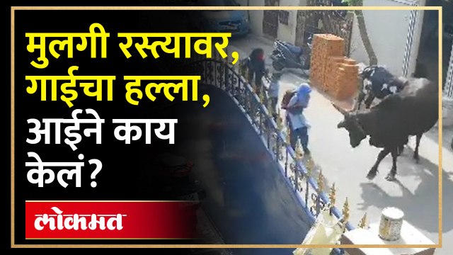 मुलगी आईसोबत रस्त्यावरुन जात होती, तेव्हाच गाईने हल्ला केला