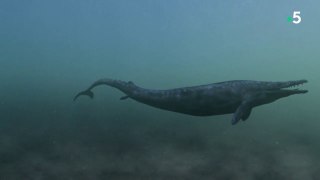 Basilosaurus, la baleine carnivore