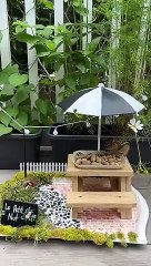 Chipmunk Politely Eats His Lunch