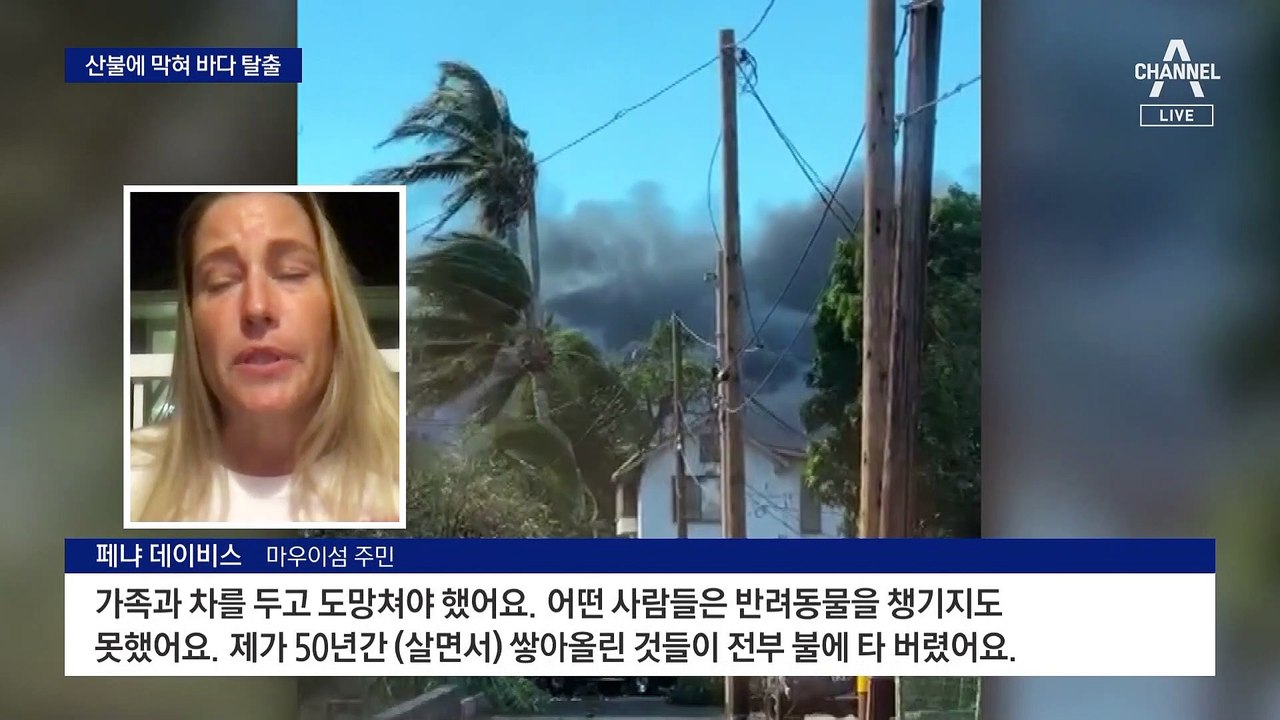 도망칠 곳도 없다…하와이 대형 산불에 최소 55명 사망
