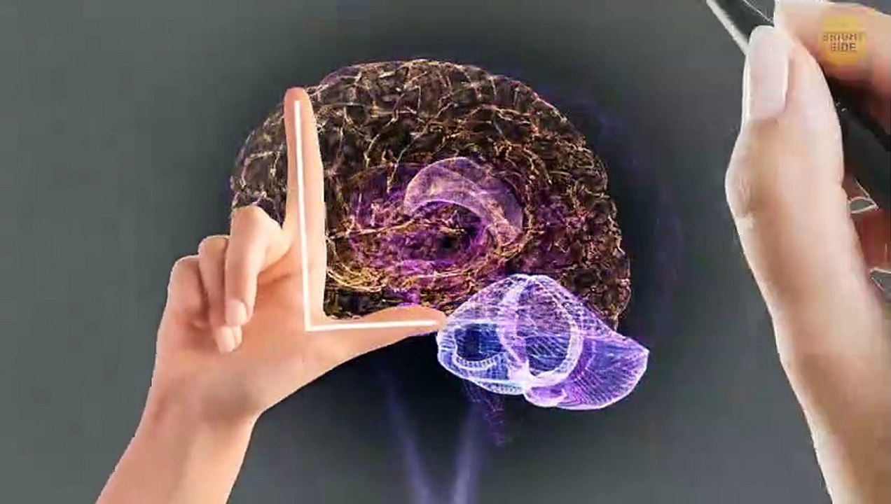 Why Some People Have Trouble with Left and Right