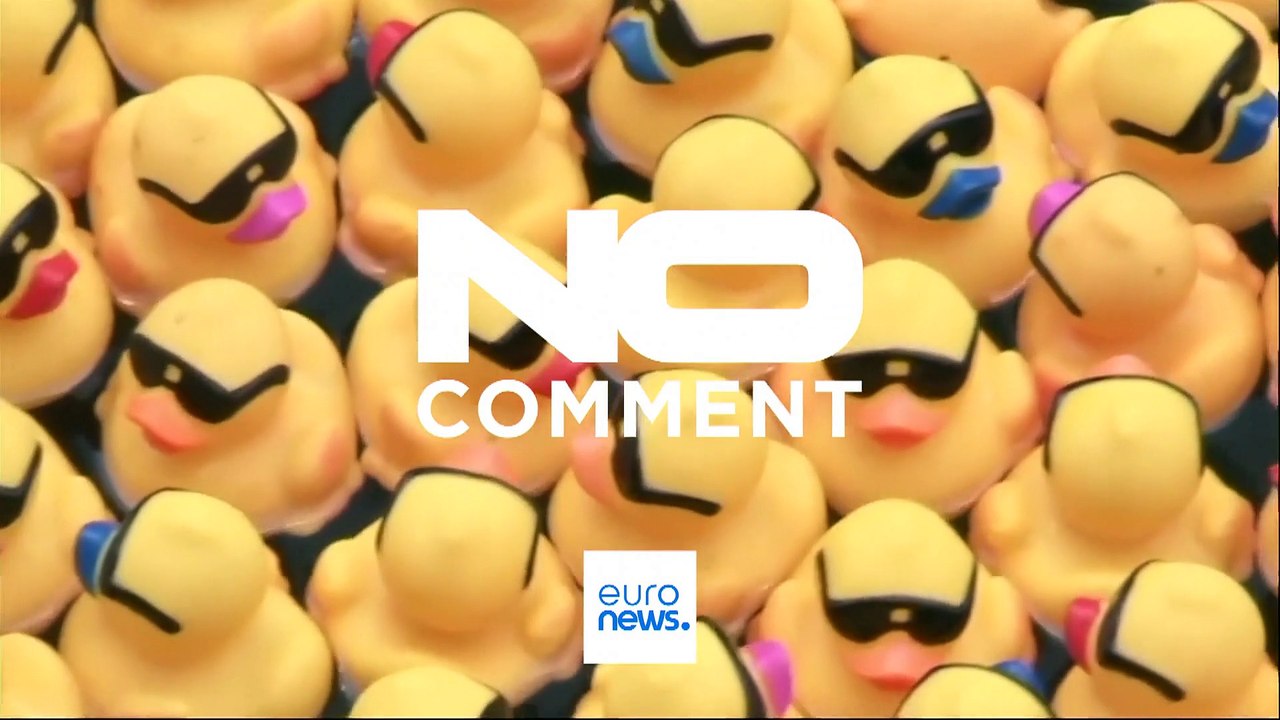 Enten-derby auf dem chicago river