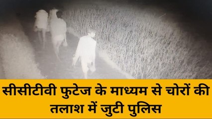 वाराणसी : चोरों ने जेवरात समेत लाखों की नकदी पर हाथ किया साफ, तीसरी आँख में शातिर