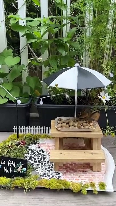 Chipmunk Politely Eats His Lunch