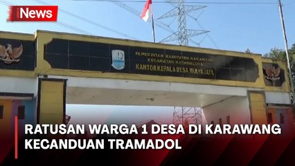 Ratusan Warga 1 Desa di Karawang Kecanduan Tramadol, Polisi Tangkap 2 Pengedar