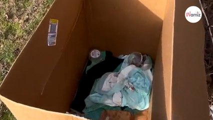 Elle part acheter le goûter pour ses collègues et revient avec une boîte suspecte sous le bras (vidéo)