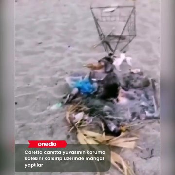 Antalya Gazipaşa’da kimliği belirsiz kişiler, koruma altına alınan caretta caretta yuvasının kafesini kaydırıp yuva üzerinde mangal yaptı.